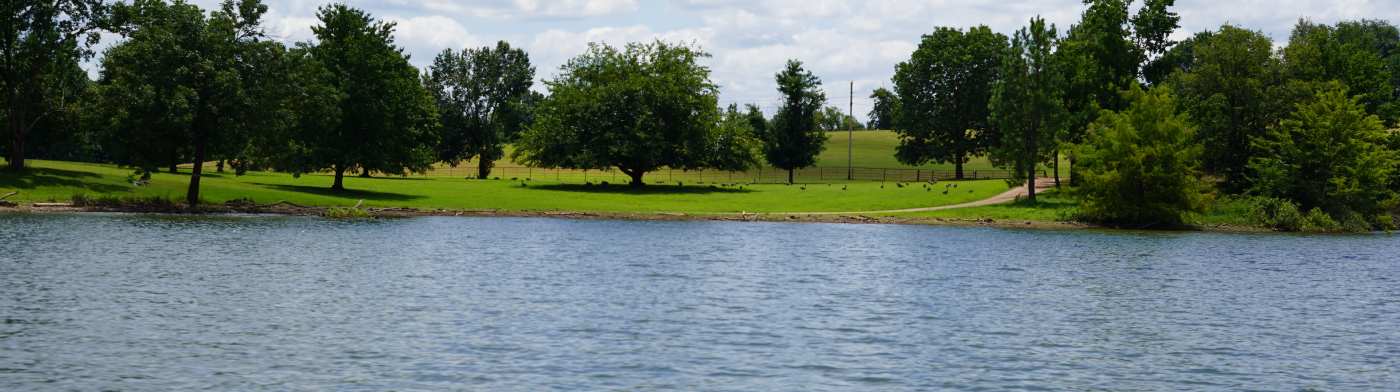 Edge of Beaver Lake that meets green field of grass and trees