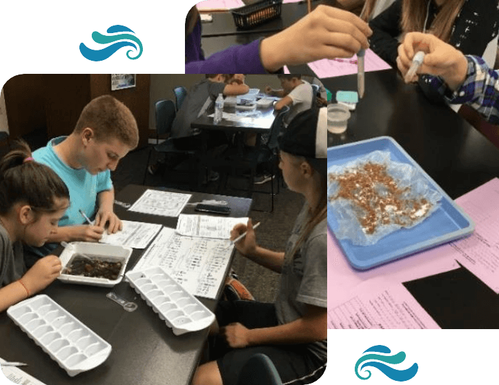 in-classroom-outreach Children experimenting with water and soil